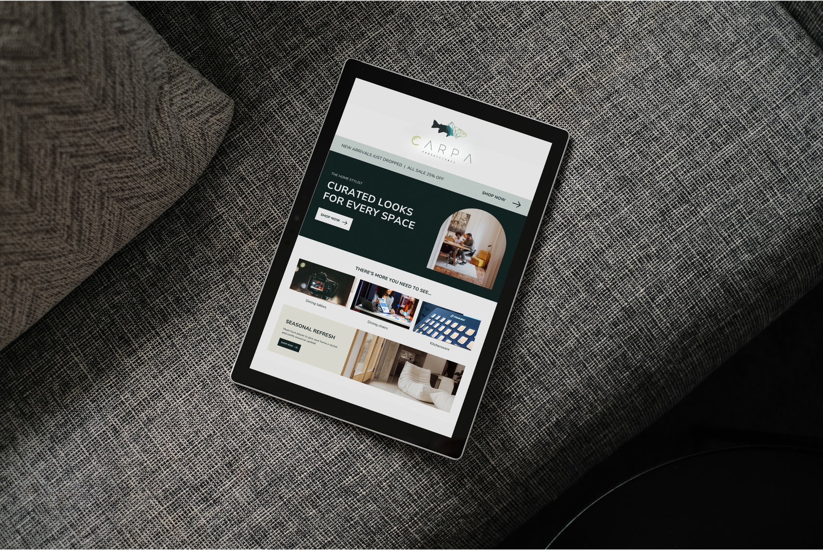 7 Diseño de Paginas web en Leon - Carpa Producciones