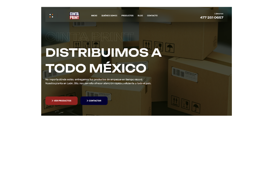 Diseño de Páginas Web que generan ventas - Carpa Producciones