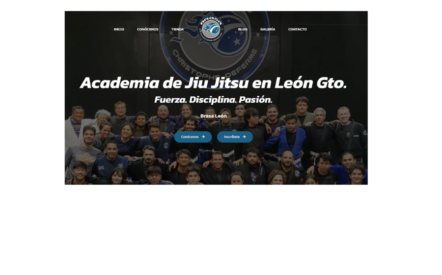 Diseño de Páginas Web que generan ventas - Carpa Producciones